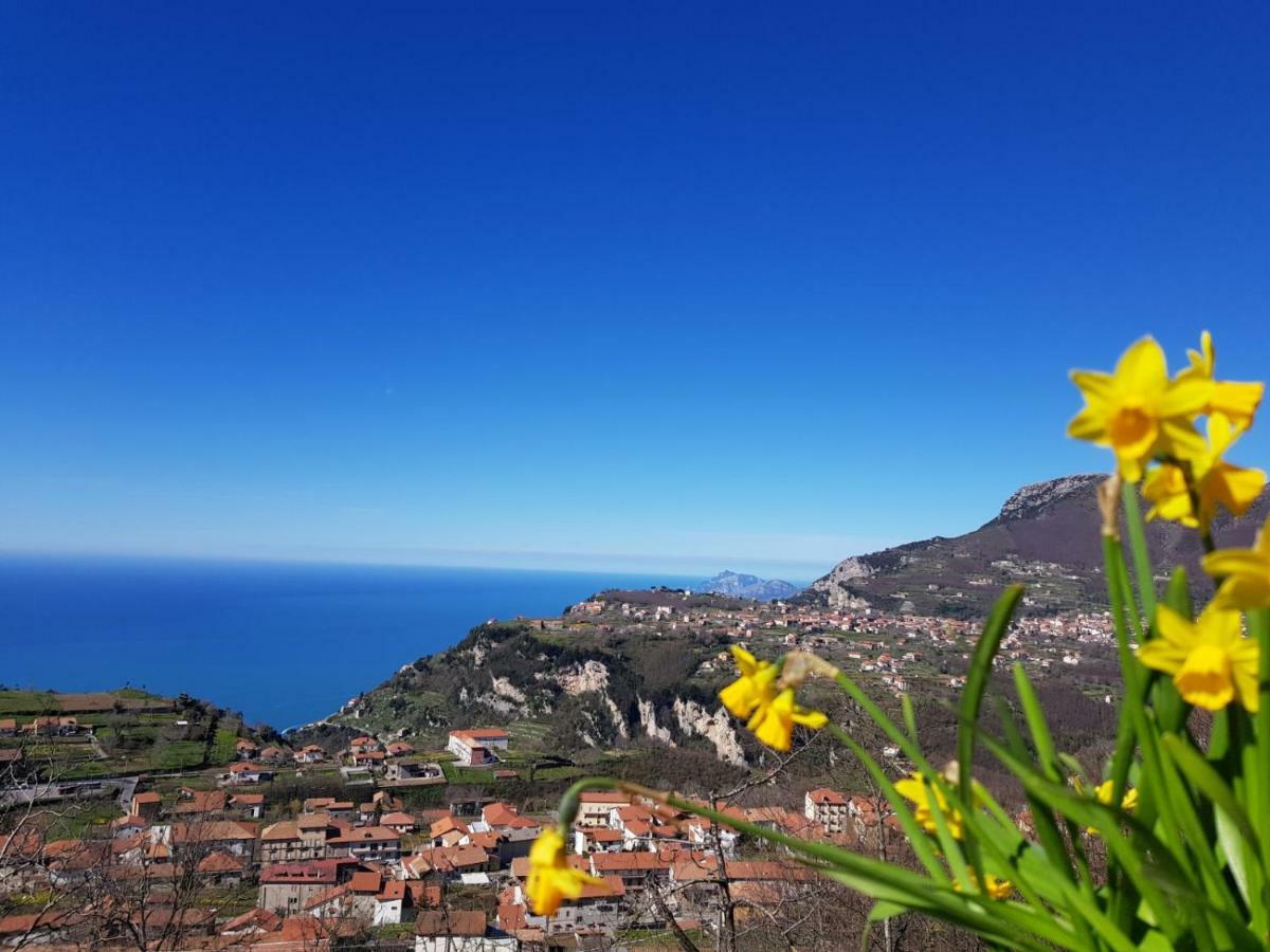 B&B Villa Reginella Agerola Esterno foto